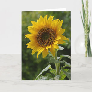 Sunflower Floral Blank Note Card