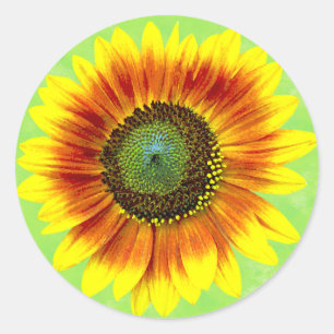 Sunflower Floral Yellow and Green Flower Garden Classic Round Sticker