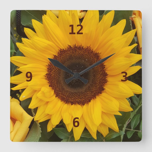 Sunflower Flower Floral Photography Clock (Front)