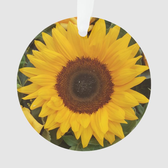 Sunflower Flower Floral Photography Ornament (Front)
