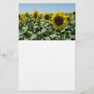 Sunflower Flyer