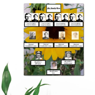 Sunflower Four-Generation Family Tree Photos Poster
