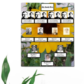 Sunflower Four-Generation Family Tree Photos Poster