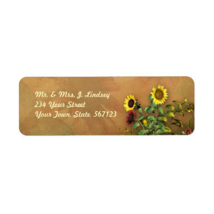 Sunflower Garden 1