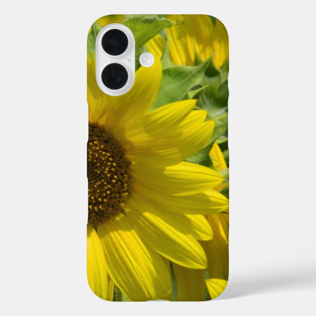 Sunflower Garden iPhone Case (Back)
