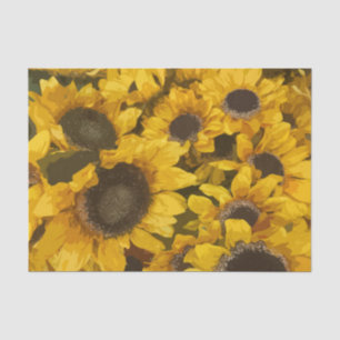 Sunflower Garden Rustic Country Vintage Floral Tissue Paper
