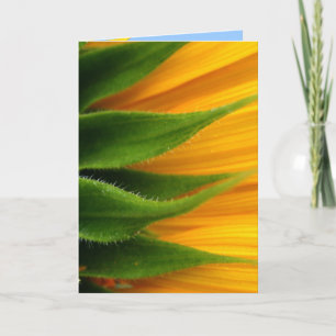 Sunflower Get Well Card