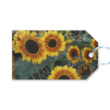 sunflower gift tag