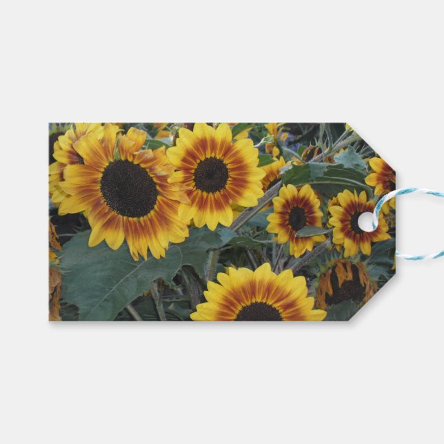 sunflower gift tag (Front (Horizontal))
