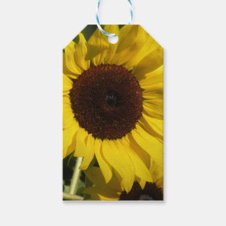 Sunflower Gift Tags
