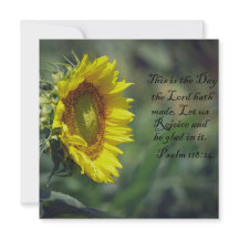 Sunflower Glory