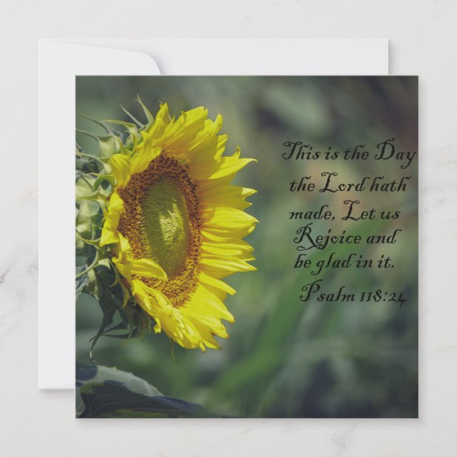 Sunflower Glory (Front)