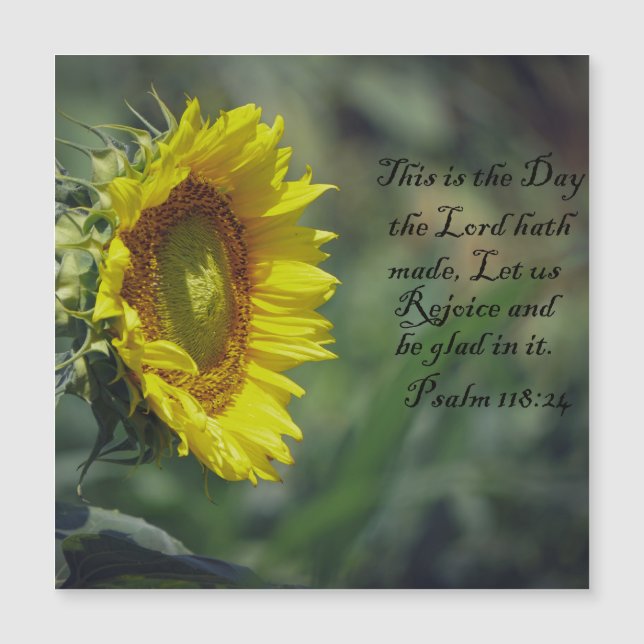 Sunflower Glory (Front)