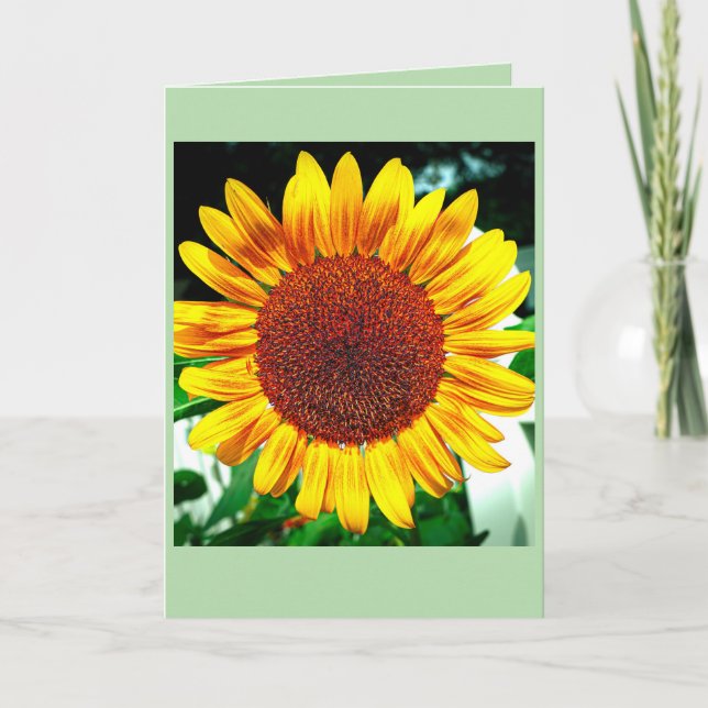 Sunflower Glory Card (Front)