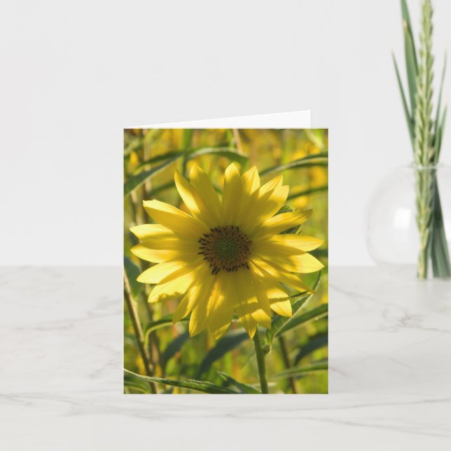 Sunflower Glow Greeting Card (Front)