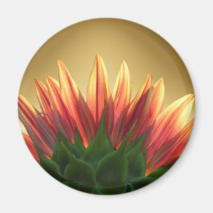 Sunflower gold ~ Magnet