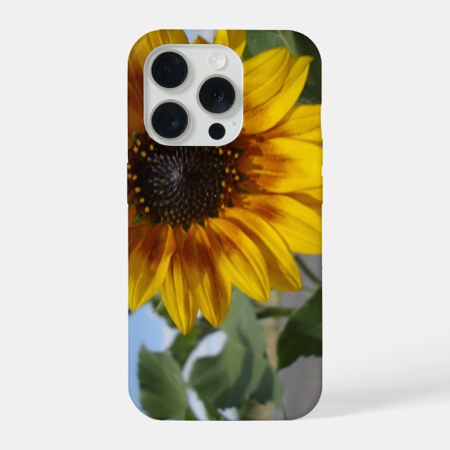 Sunflower Golden Moment, iPhone Case (Back)