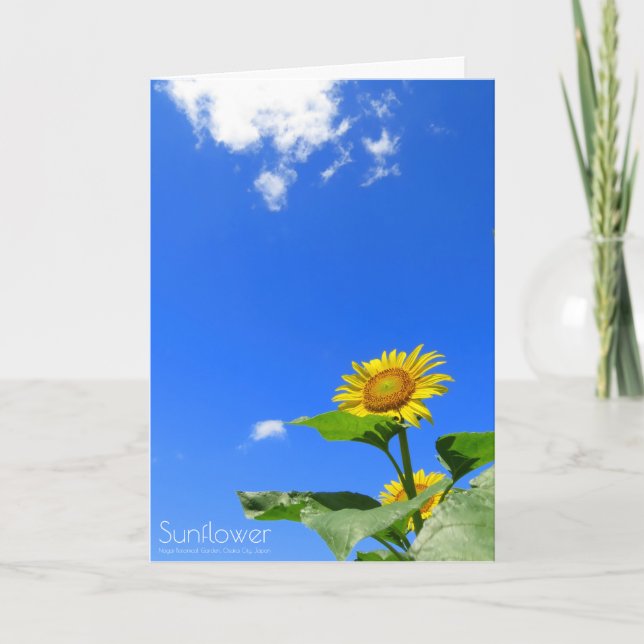 Sunflower:Greeting Card (Front)