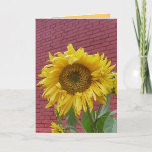 Sunflower Greeting Card