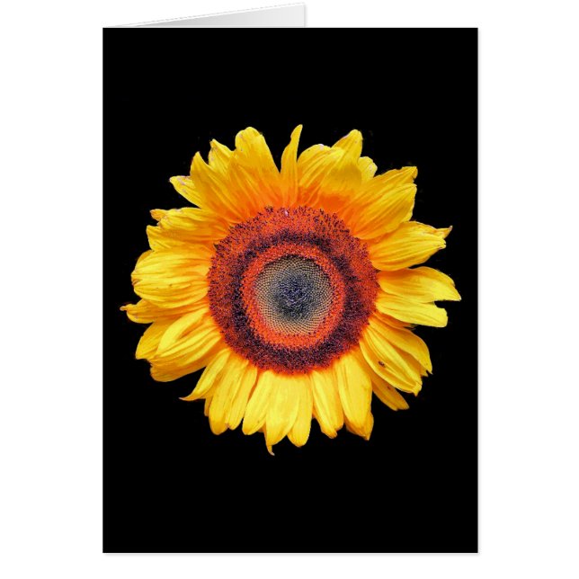 SUNFLOWER GREETING CARD (Front)