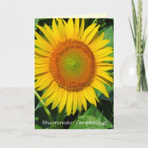 Sunflower:Greeting Card
