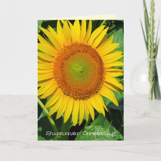 Sunflower：Greeting Card (Front)