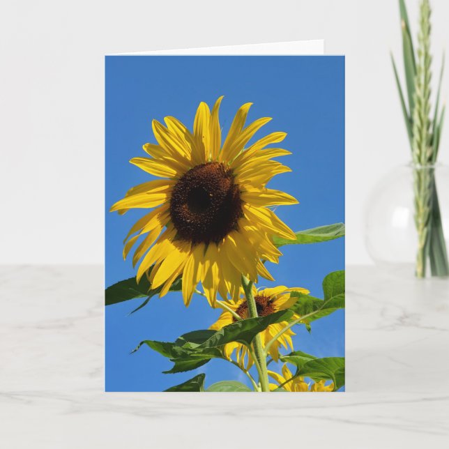 Sunflower greeting card (Front)
