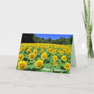 Sunflower:Greeting Card