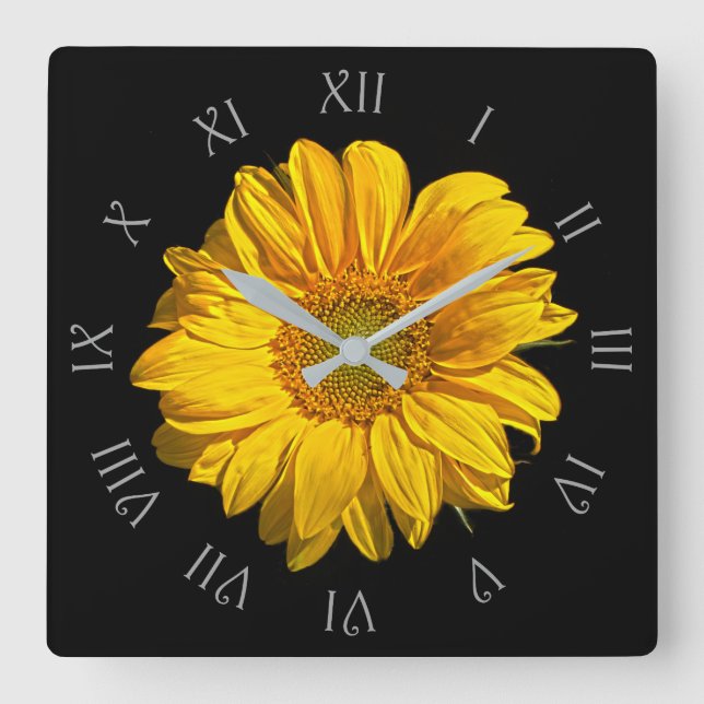 Sunflower Grey Script Roman Numbers wccna Square Wall Clock (Front)