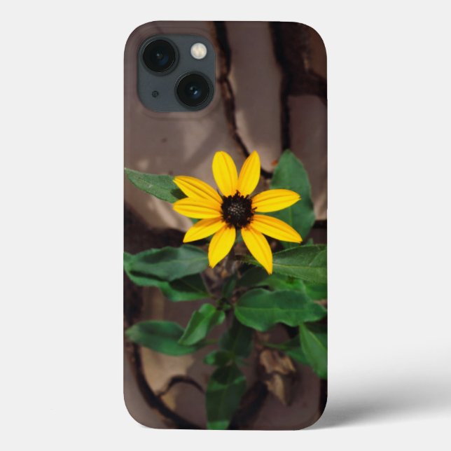 Sunflower growing from Cracked Mud Case-Mate iPhone Case (Back)