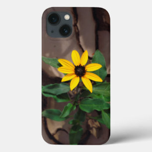 Sunflower growing from Cracked Mud iPhone 13 Case
