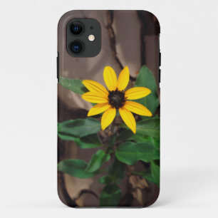 Sunflower growing from Cracked Mud iPhone 11 Case