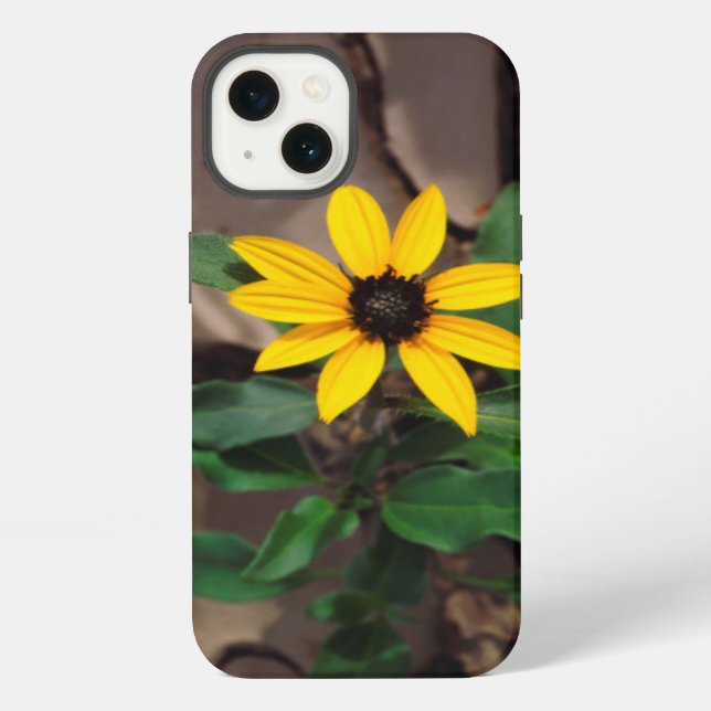 Sunflower growing from Cracked Mud iPhone Case (Back)