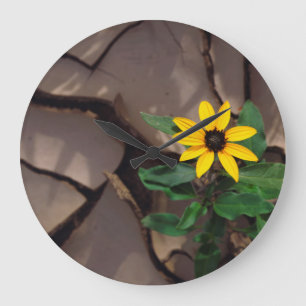 Sunflower growing from Cracked Mud Large Clock