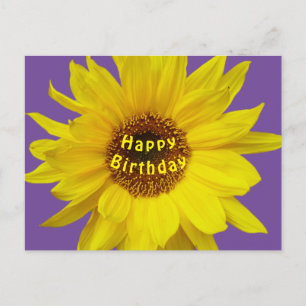 Sunflower Happy Birthday Postcard