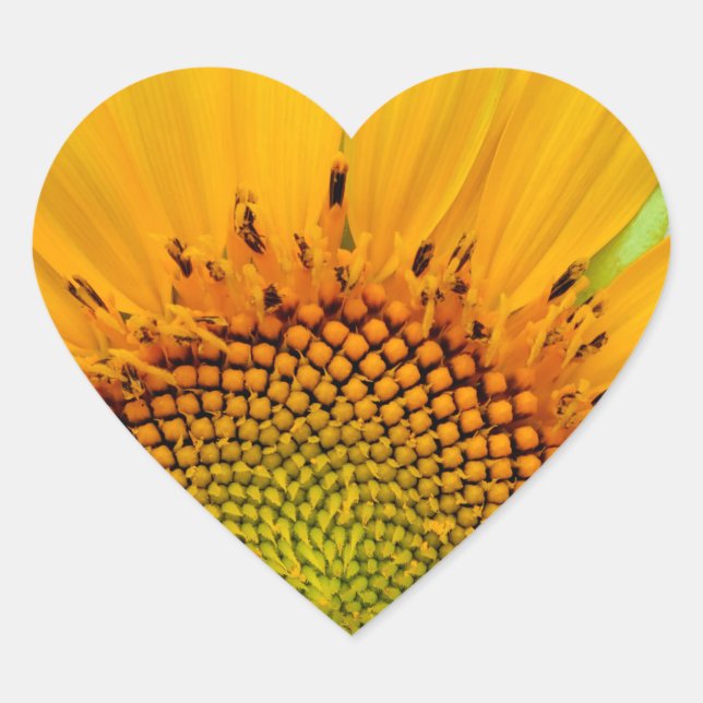 Sunflower Heart Sticker (Front)