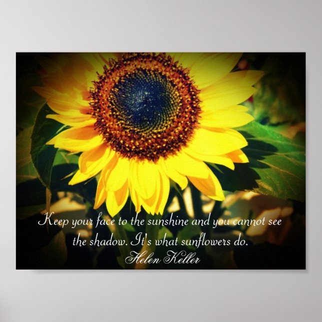 Sunflower Helen Keller Quote: Uplifting Poster (Front)