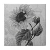 Sunflower Helianthus Monochrome Tile (Front)
