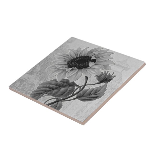 Sunflower Helianthus Monochrome Tile (Side)