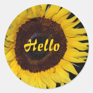 Sunflower, Hello Classic Round Sticker