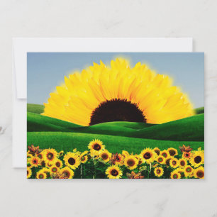 SUNFLOWER HILL INVITATION