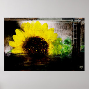 Sunflower Image Print