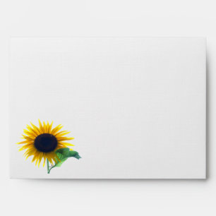 Sunflower In Full Bloom Envelope