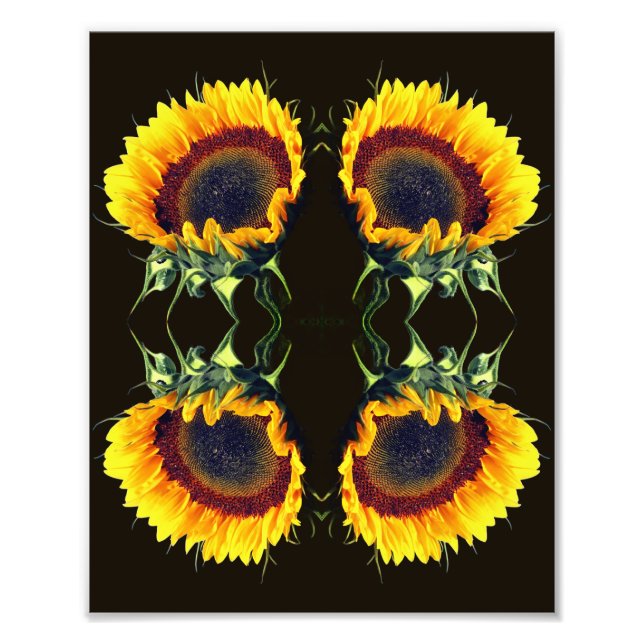 Sunflower In Sunshine Abstract Flower Art 8x10 Photo Print (Front)