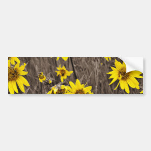 Sunflower in the Rocky Mountain Bumper Sticker