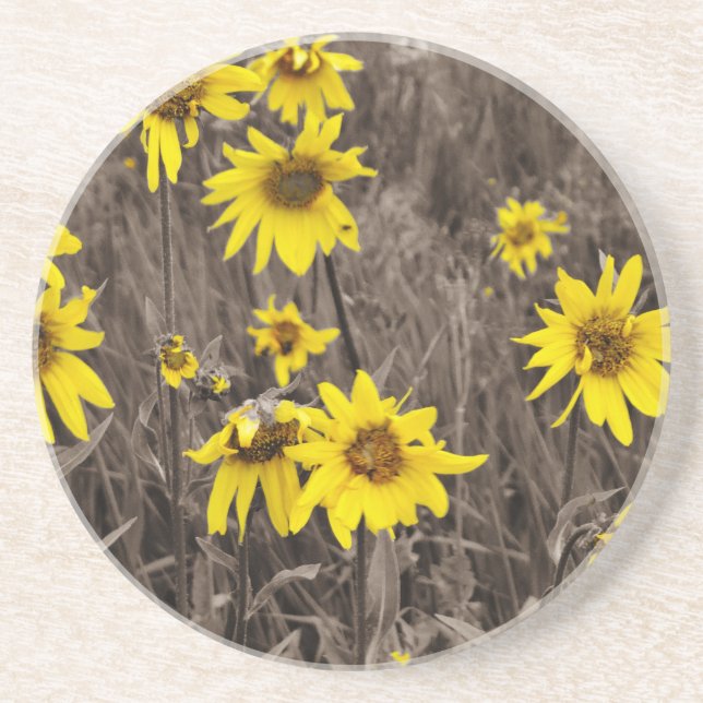 Sunflower in the Rocky Mountain Coaster (Front)
