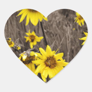 Sunflower in the Rocky Mountain Heart Sticker