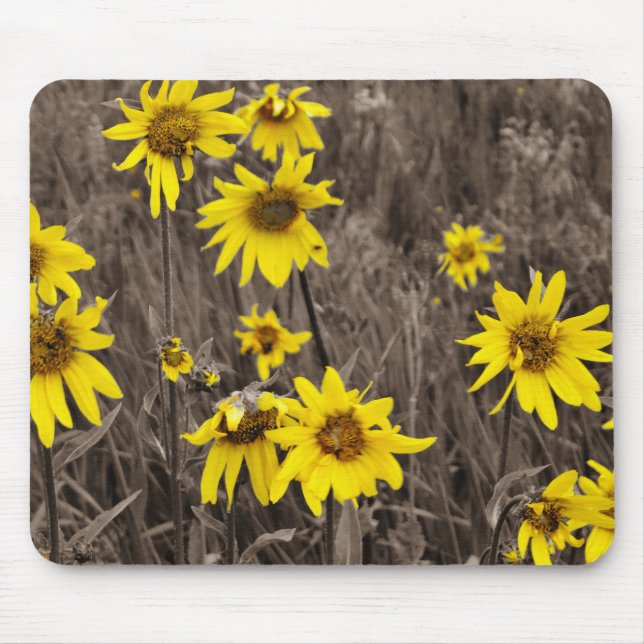 Sunflower in the Rocky Mountain Mouse Mat (Front)