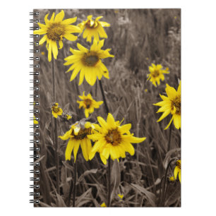 Sunflower in the Rocky Mountain Notebook