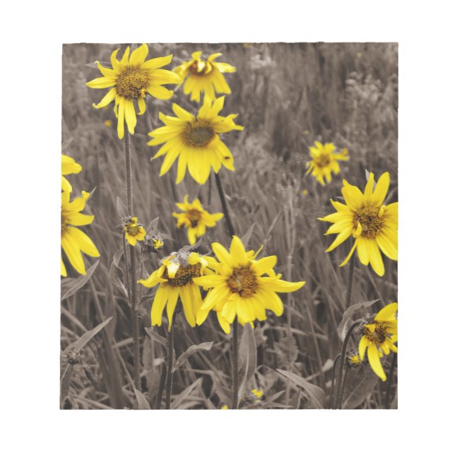 Sunflower in the Rocky Mountain Notepad (Front)